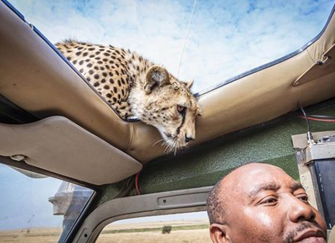 前方危險(xiǎn)！請(qǐng)注意安全！