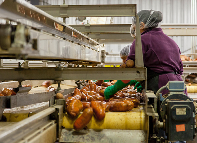 德國(guó)原裝進(jìn)口TANA TANEX ceram 特耐工業(yè)用陶瓷磚專用清潔劑